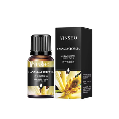 Portable Mini Ultrasonic Humidifier USB Essential Oil Fogger Diffuser Indoor Mute Fogger Mist Maker Home Fragrance Accessories