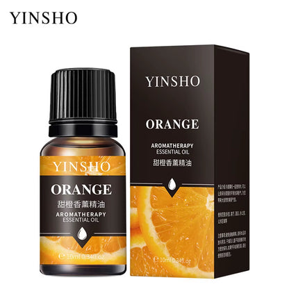 Portable Mini Ultrasonic Humidifier USB Essential Oil Fogger Diffuser Indoor Mute Fogger Mist Maker Home Fragrance Accessories