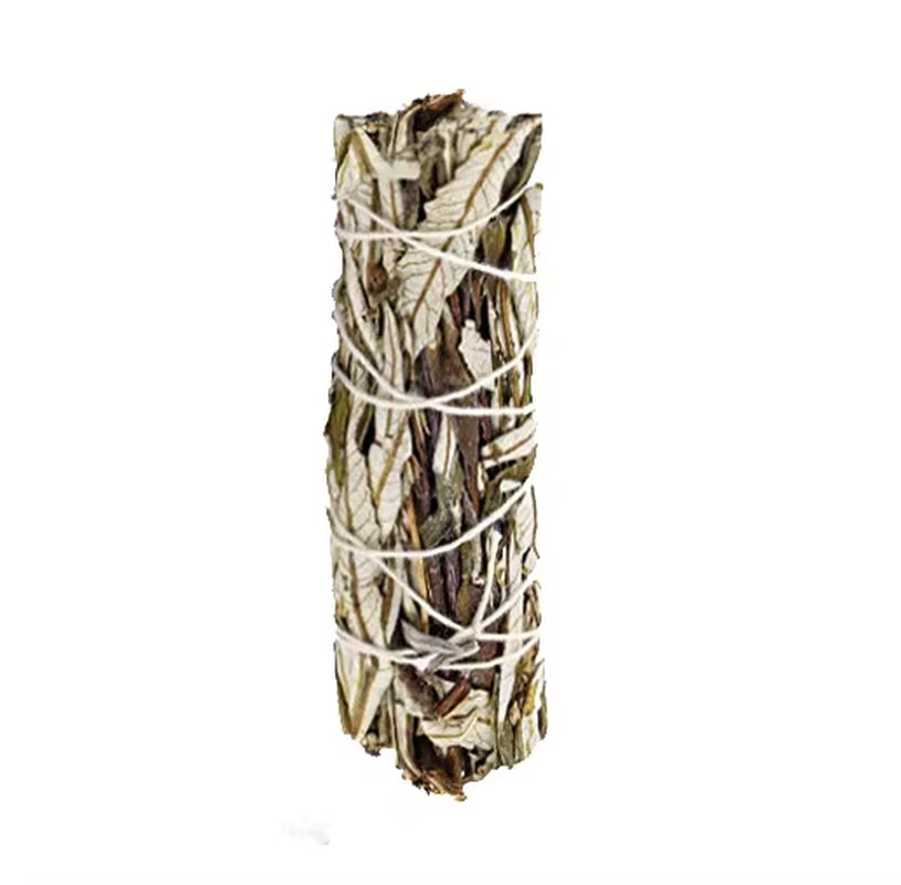 1-50PCS White Sage & Palo Santo for Smudging, Healing Purify Natural Incense Sticks Wooden Smudging Strips Aroma Diffuser Stains